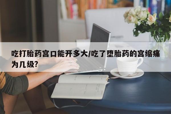 卖打胎药的微信堕胎药联系方式.吃打胎药宫口能开多大/吃了堕胎药的宫缩痛为几级?
