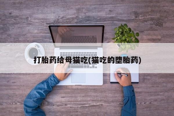 卖打胎药的微信堕胎药联系方式.打胎药给母猫吃(猫吃的堕胎药)
